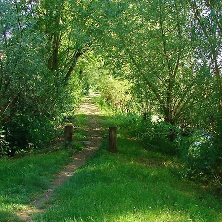Coeur-de-charente-maritime, Au Fil De L'eau