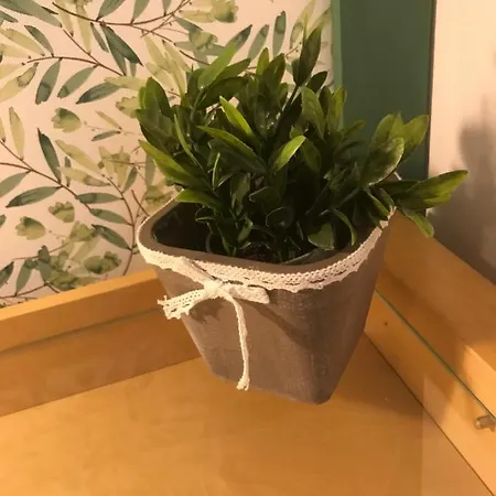 Coeur-de-charente-maritime, Au Fil De L'eau * Saint-Germain-de-Marencennes