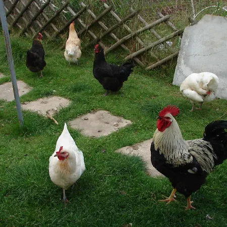 Coeur-de-charente-maritime, Au Fil De L'eau Saint-Germain-de-Marencennes