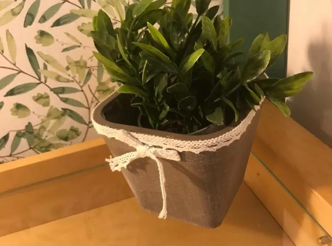 Coeur-de-charente-maritime, Au Fil De L'eau * Saint-Germain-de-Marencennes