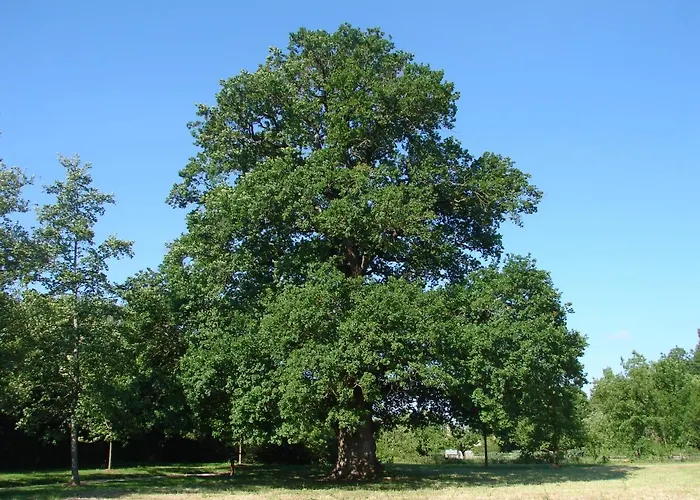 Holiday home Coeur-de-charente-maritime, Au Fil De L'eau *