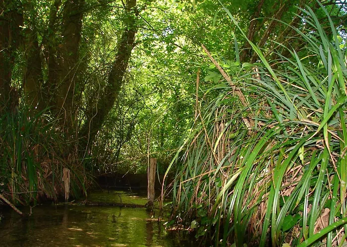 Coeur-de-charente-maritime, Au Fil De L'eau Holiday home Saint-Germain-de-Marencennes