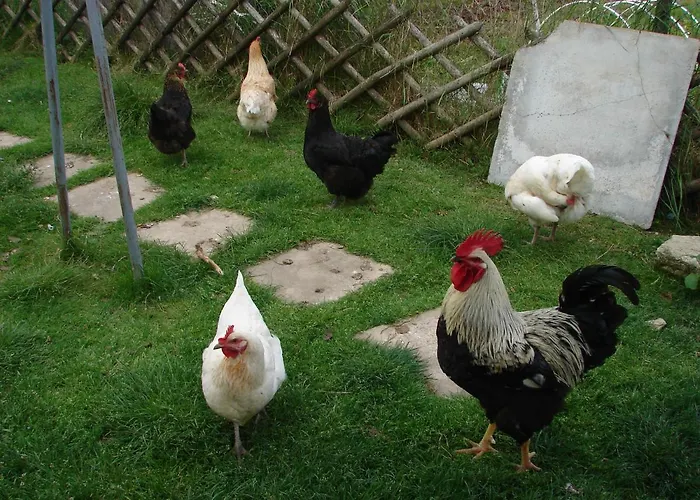 Coeur-de-charente-maritime, Au Fil De L'eau Saint-Germain-de-Marencennes